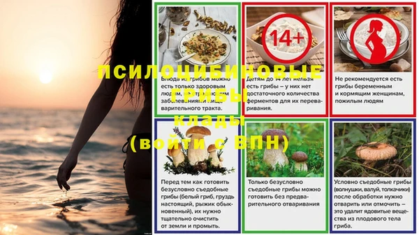 ПСИЛОЦИБИНОВЫЕ ГРИБЫ Лагань