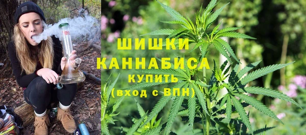 ПСИЛОЦИБИНОВЫЕ ГРИБЫ Лагань