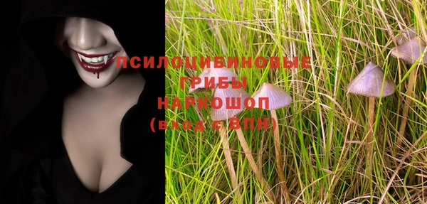 ПСИЛОЦИБИНОВЫЕ ГРИБЫ Лагань