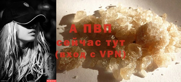 ГАЛЛЮЦИНОГЕННЫЕ ГРИБЫ Ладушкин