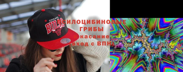 ГАЛЛЮЦИНОГЕННЫЕ ГРИБЫ Ладушкин
