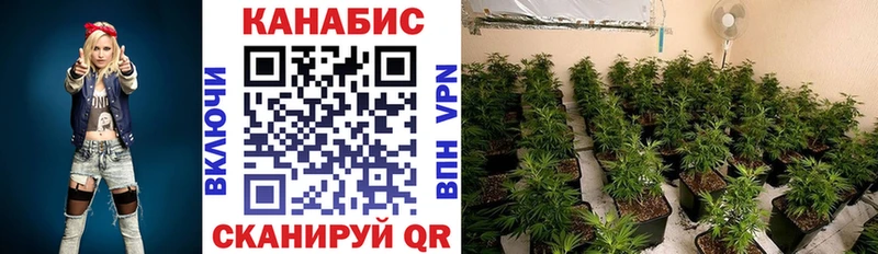 Конопля AK-47  Гаврилов Посад 